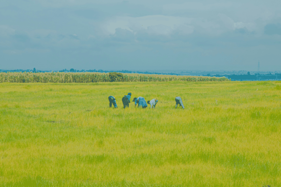 {text(site, 'images', 'hero_section')}